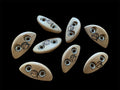 Mini Ratters